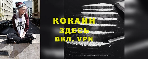 дживик Новозыбков