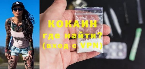 индика Алексин