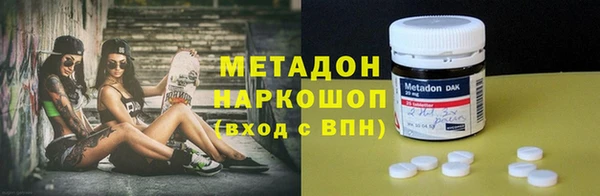 индика Алексин