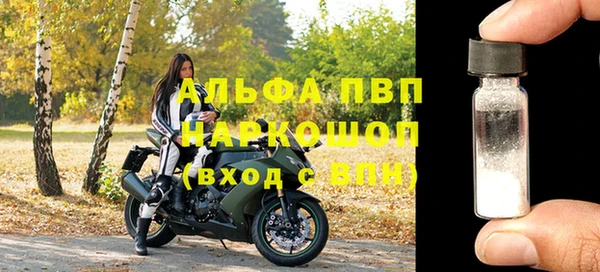 индика Алексин
