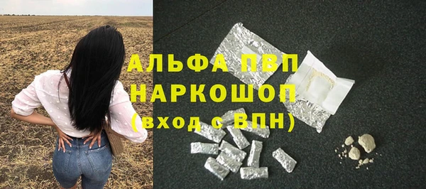индика Алексин