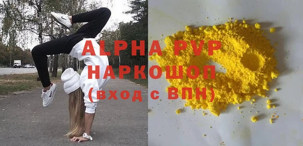 индика Алексин