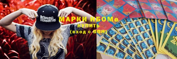 индика Алексин