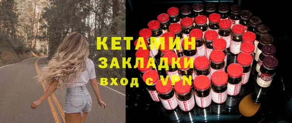 индика Алексин