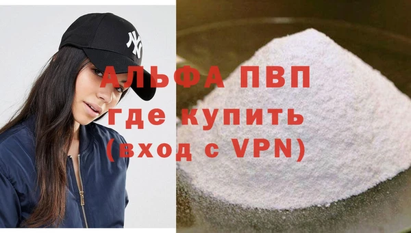 индика Алексин