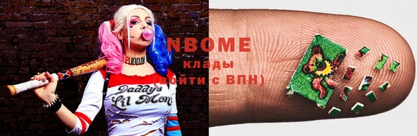 хмурый Алзамай