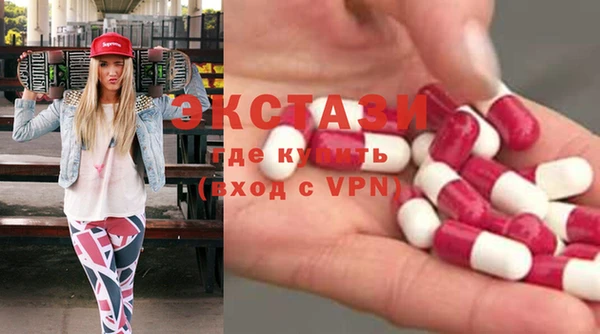 индика Алексин