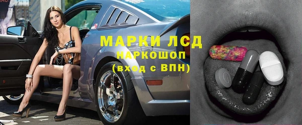 индика Алексин