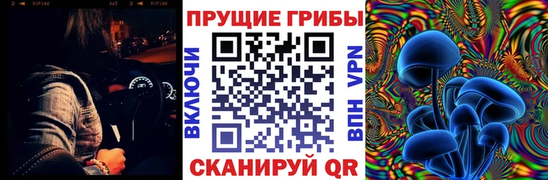 Галлюциногенные грибы прущие грибы  дарк нет как зайти  Ивдель 